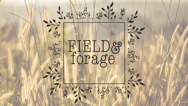 Field and Forage logo on a wheat field backdrop